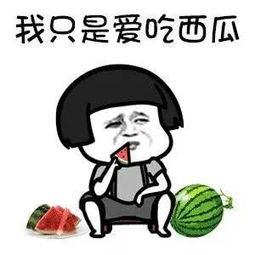 娱乐吃瓜酱一年,年度娱乐圈风云录