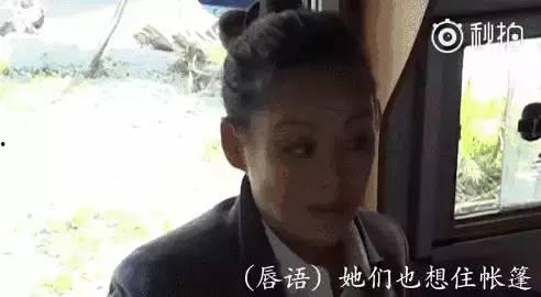 娱乐圈吃瓜群众搞笑,明星们的“欢乐喜剧时刻”