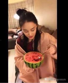 娱乐吃瓜酱摆烂人生